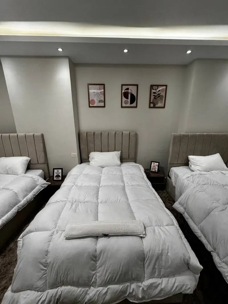Soft-Carpet Family Home — 3-Bedroom, Zamalek, photo 3