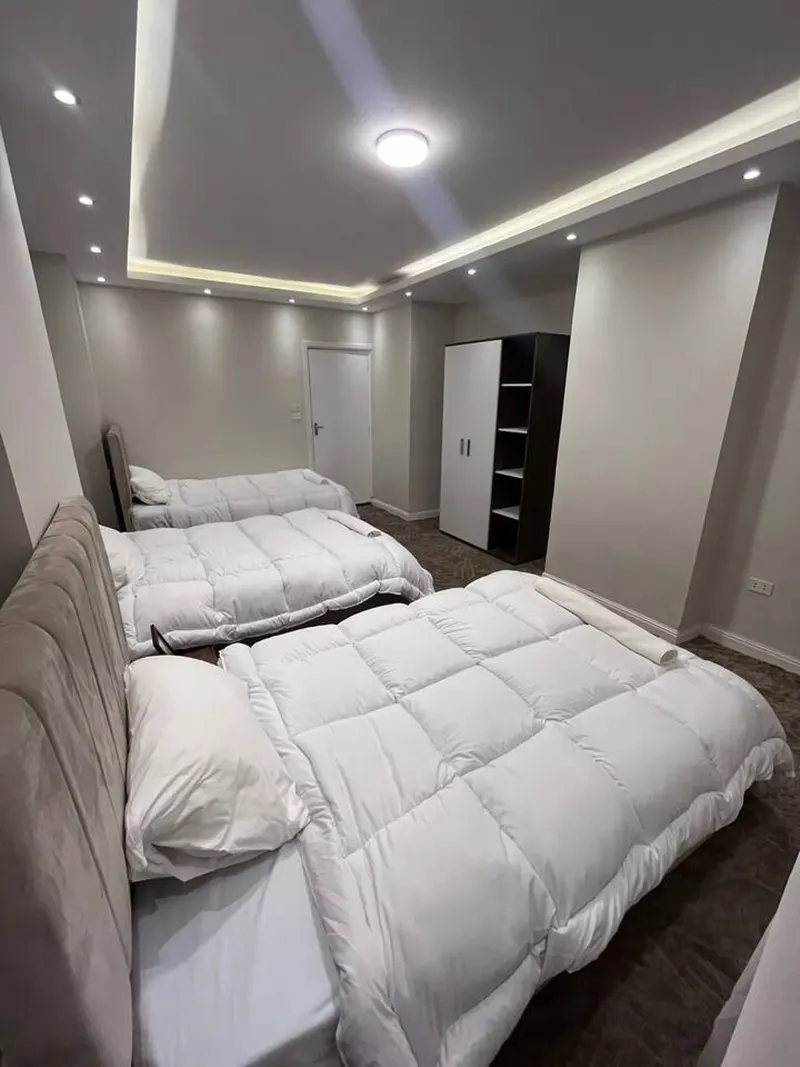 Soft-Carpet Family Home — 3-Bedroom, Zamalek, photo 5