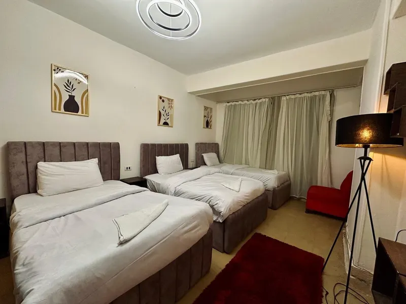 Charcoal Lounge & Dining Flat — 2-Bedroom, Zamalek, photo 2