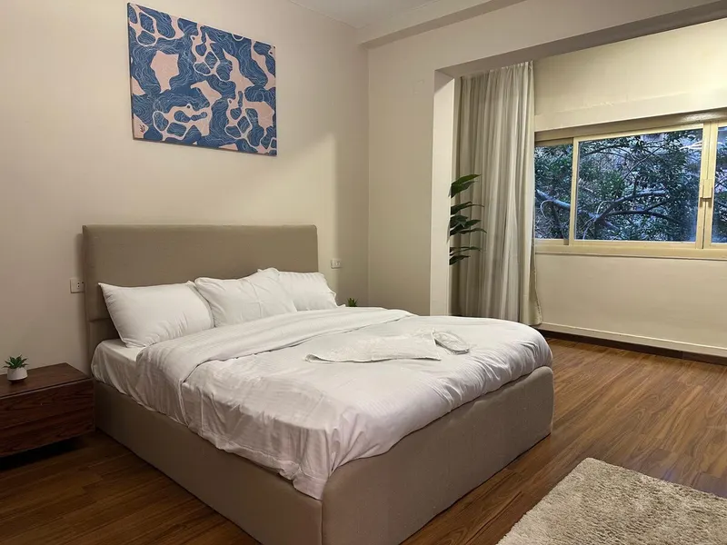 Navy Wall Dining Flat — 2-Bedroom, Zamalek, photo 2