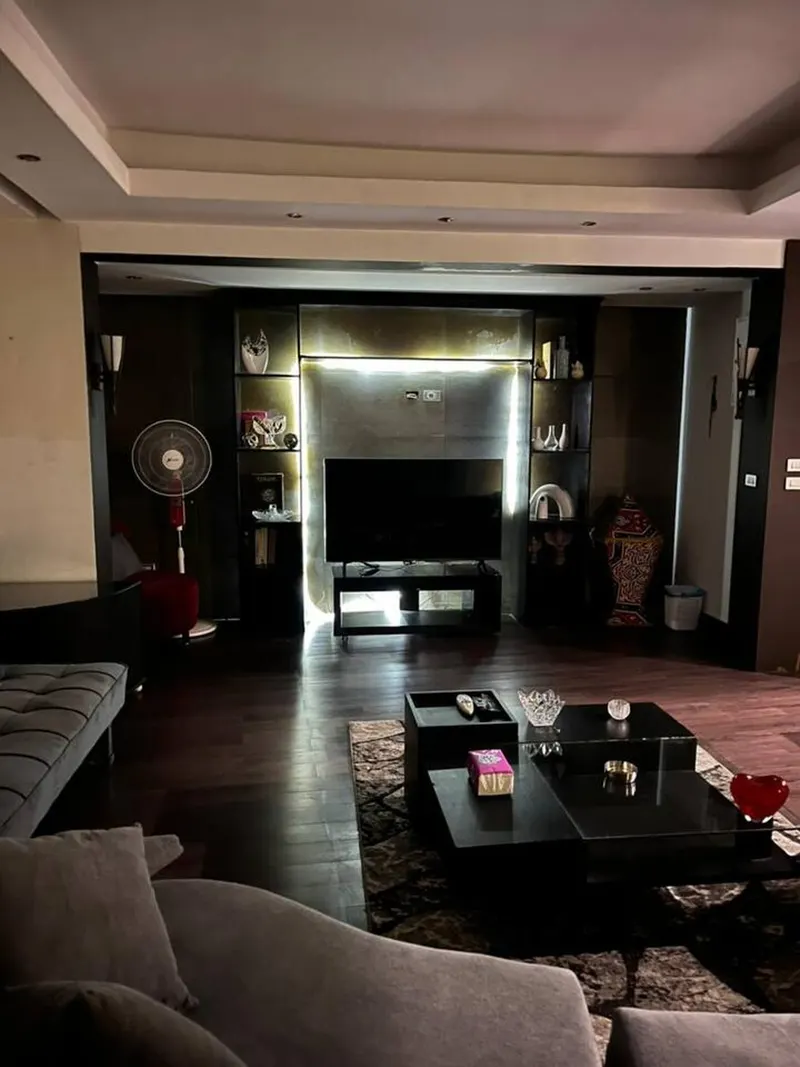 Crimson & Grey Salon — 2-Bedroom, Zamalek, photo 2