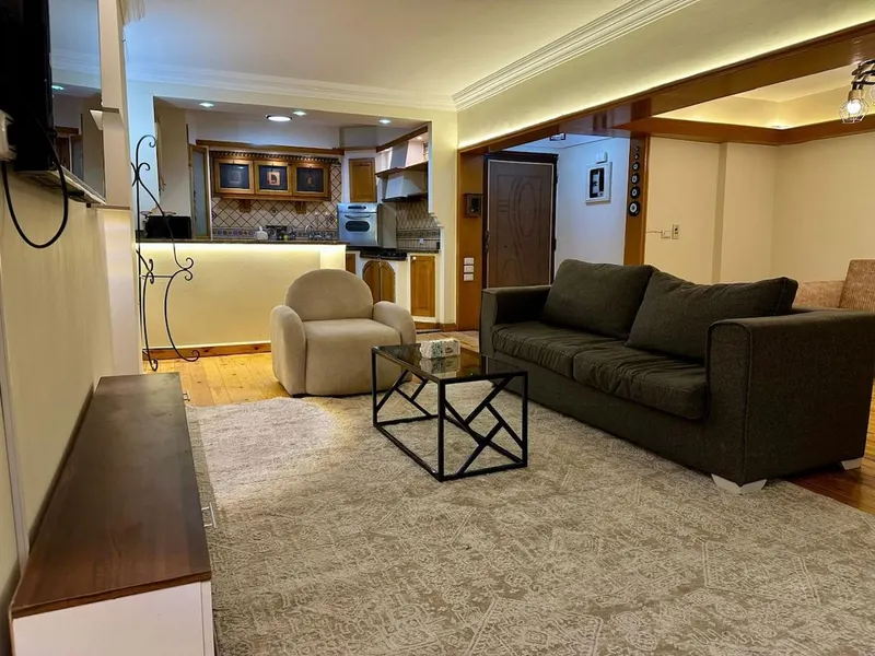 The Glass-Floor Nile Suite — 1-Bedroom, Zamalek, photo 8