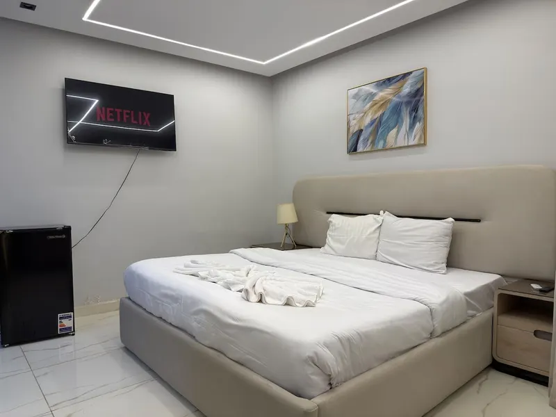 Feather-Art Double Suite — 1-Bedroom, Agouza