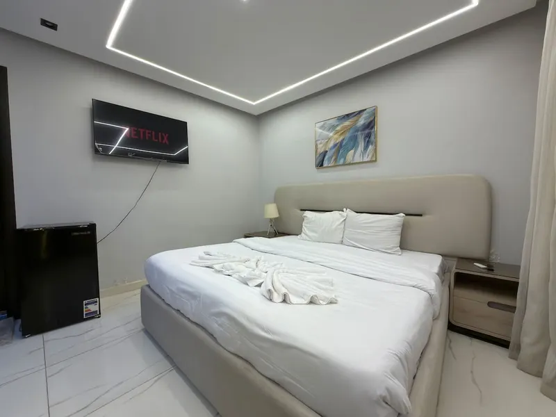 Feather-Art Double Suite — 1-Bedroom, Agouza, photo 7