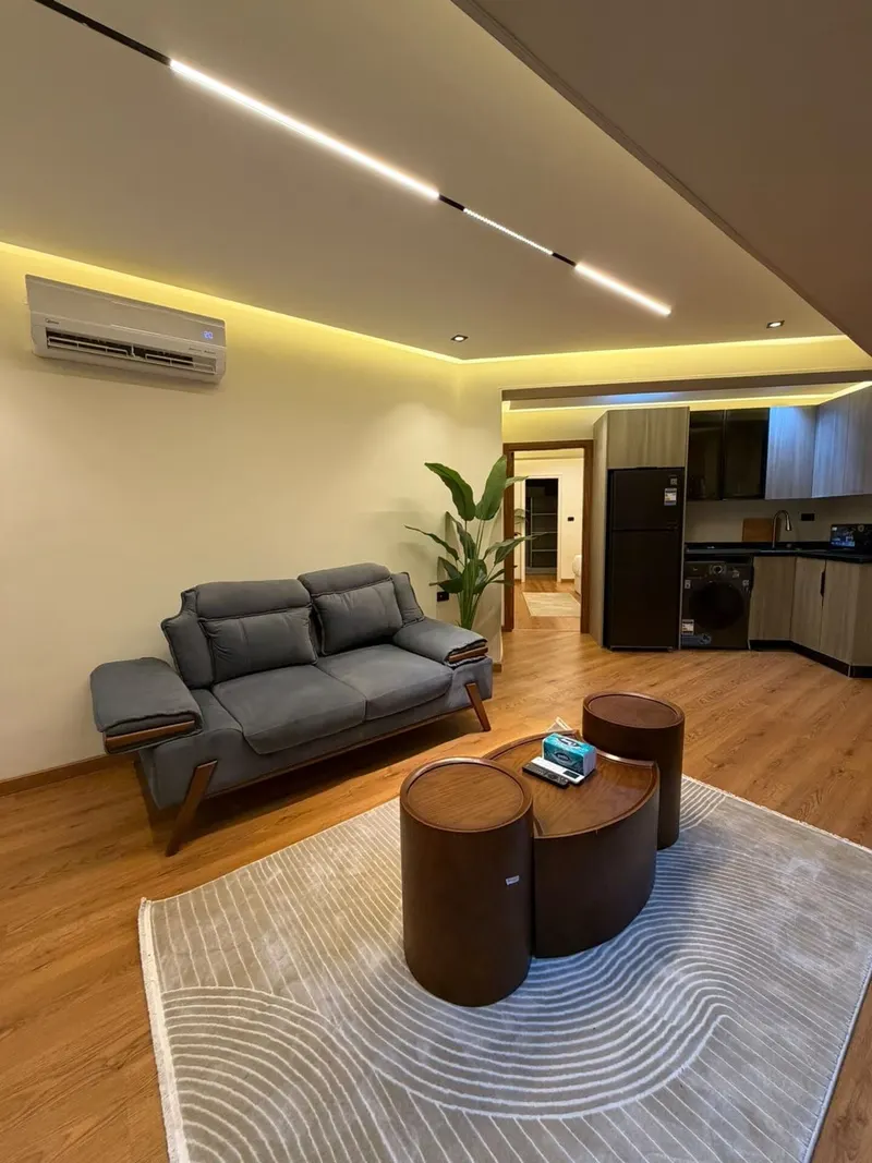 Warm-Wood Nile Balcony Flat — 1-Bedroom, Agouza, photo 8