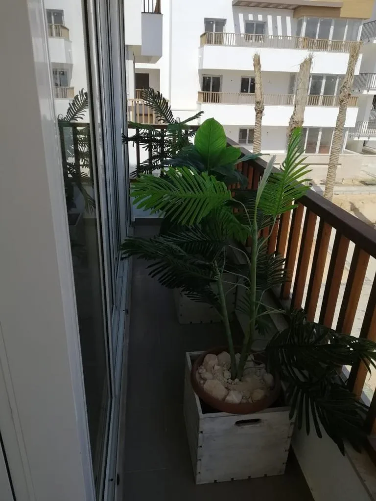 D01-F02 Beachtown 2 Bedroom Apartment — photo 5